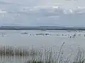 Naturpark