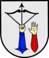 Wappen von Salnyzja