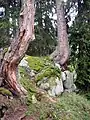 Fundament des Berings im SE
