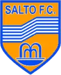 Abzeichen des Salto FC