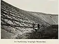 Pflanzung zur Stabilisierung  der Dünen 1910