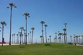 Venice Beach(Folge 5)