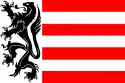 Flagge des Ortes Sas van Gent