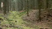 Der dem Wall vorgelagerte Graben