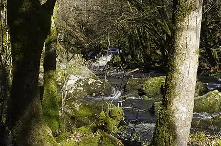 Saut du Chalard im Winter