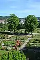 Impressionen aus dem Rosarium