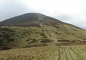 Scald Law