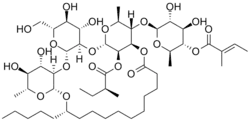 Strukturformel von Scammonin