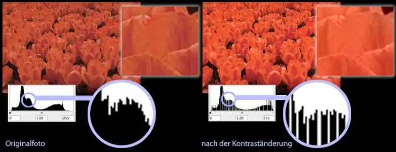 Das Farbspektrum des Fotos links umfasst ca. 200 Stufen (damit wird die Farbtiefe von 256 Stufen nicht komplett ausgenutzt). Im rechten Foto wurde eine einfache Kontrasterhöhung durchgeführt, die das Farbspektrum des Fotos auf 256 Stufen angehoben hat (= Tonwertspreizung). Die vorher-200 Stufen können nicht identisch auf nachher-256 Stufen übertragen werden. Die konkreten Farbwerte werden durch das Interpolationsverfahren bestimmt. Symbolisiert werden die (durch diese Veränderung) entstehenden Lücken im Farbspektrum durch eine lückenhafte Anzeige im Histogramm (Diagramm unter dem Foto).
