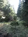 Nordlift: Trasse