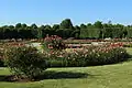 Schönbrunner Rosarium, Wien