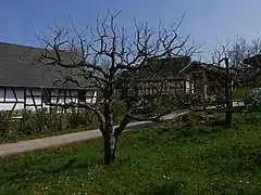 Ganzer Baum
