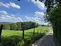 Wanderweg in Wickesberger Bachtal