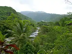 Der Fluß Grande-Rivière des Vieux-Habitants, Vieux-Habitants, auf Basse-Terre