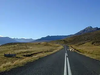 Schafe auf der Auffahrt zum Tunnel am Oddsskarð, auf der Seite von Eskifjörður