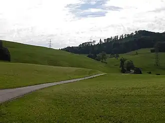 Die Schafmatt im Bereich der Passhöhe