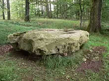 Schalenstein von Wiershausen