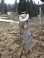 Wegweiser im Klangwald