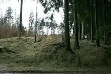 Landwehr in Schmallenberg