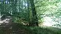 Der Schanzenberg in der Granitz: Blick westwärts zum nordöstlichen Eingang des Walls am Uferweg, 2015