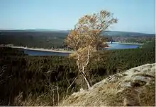 Blick vom Scharfenstein