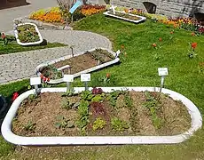 Musterbeete(Rosenobelgärten, in alten Badewannen)