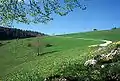 Strasse zum Matzendörfer Stierenberg