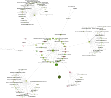 Das Foto zeigt einen Graphen eines Webcrawls einer kleineren Webseite