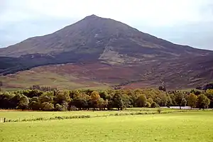 Hinter grünen Weideflächen und einer Reihe von Bäumen erhebt sich ein Berg. Seine Flanken sind kahl und der Gipfel des Berges ist außerordentlich symmetrisch.