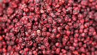 Getrocknete Beeren der Schisandra chinensis