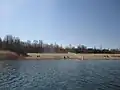 Hundebereich am Haynaer Strand 2021