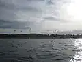 Kitewetter