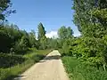 Wander- und Reitweg