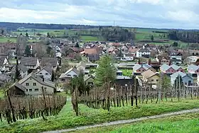 Schlattingen