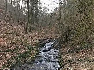Der Laßbach