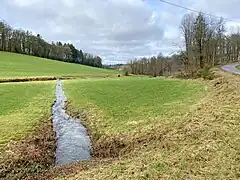 Der Schlenker Bach (von links kommend) mündet in die Lüttgenau