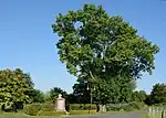 Ehrenmal in Büttel