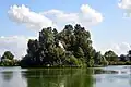Die Insel im Teich
