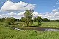 Der Teich an der Kreisstraße 45