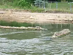 Schleusenreste am Nordufer des Elbe-Havelkanals Sommer 2015