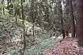 Schlossbühel Schwarzgrub