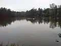 Der Schloßweiher an der Gustavsburg in Jägersburg