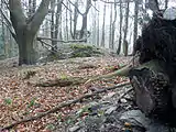 Blick vom inneren Bereich zur Informationstafel