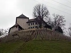Schloss Girsberg bei Waltalingen