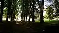 Allee zum Südtor
