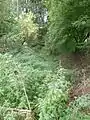 Schloss Ramingdorf: Ehemaliger Wassergraben