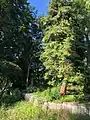 Mauer der Gartenanlage