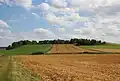 Blick auf das heutige Areal, auf dem sich Schloss Tiergarten einst befand (Nordseite des Kratzberges)