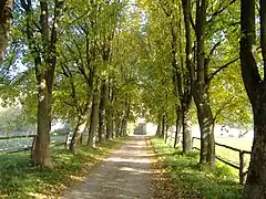 Schlossallee