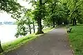 Rheinseite, westliche Allee